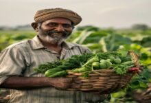 मुजफ्फरपुर के किसान की बदली तकदीर: सब्जी की आधुनिक खेती से सालाना 10 लाख की कमाई