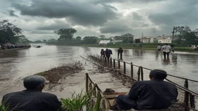 मुजफ्फरपुर में बाढ़ से निपटने की तैयारी तेज: डीएम ने दिए 24x7 अलर्ट रहने के निर्देश
