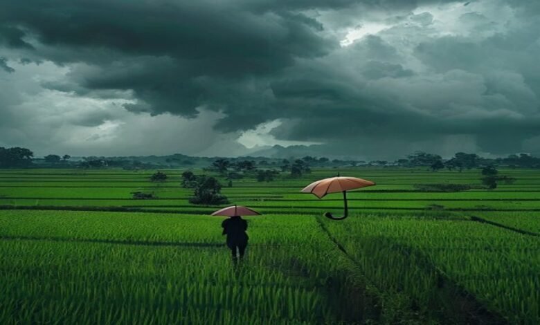 मुजफ्फरपुर समेत उत्तर बिहार में भारी बारिश का अलर्ट: मौसम विभाग की चेतावनी, किसानों के लिए नई गाइडलाइन